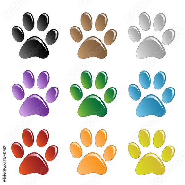 Fototapeta Paw Prints