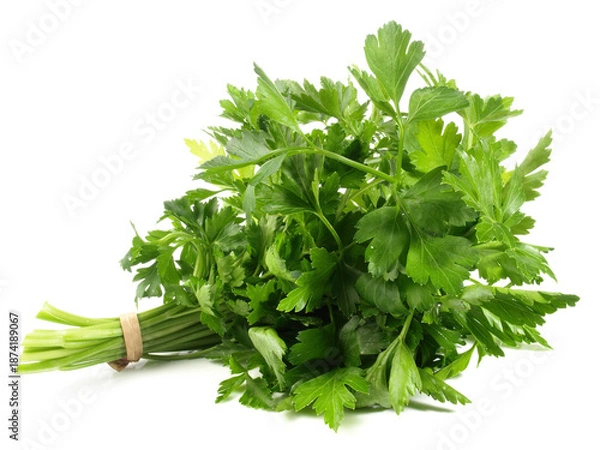 Obraz Parsley on white Background