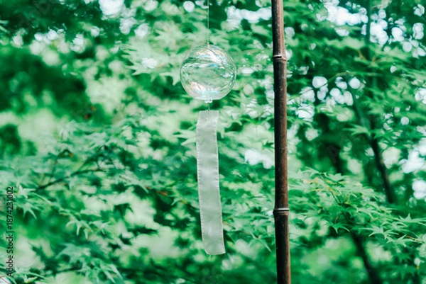 Obraz 正寿院の美しい風鈴