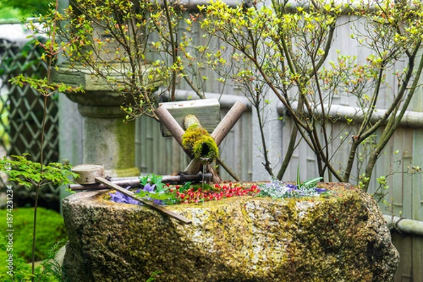 Obraz 正寿院の美しい風鈴