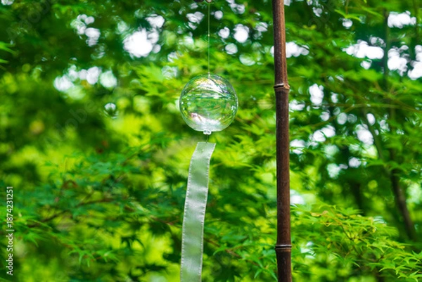 Obraz 正寿院の美しい風鈴