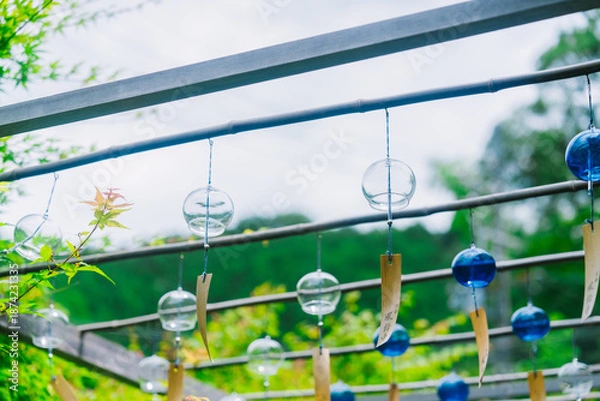 Obraz 正寿院の美しい風鈴