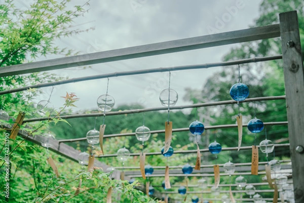 Obraz 正寿院の美しい風鈴