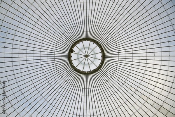 Fototapeta żelazna sieć