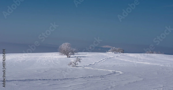 Obraz skiing in the mountains