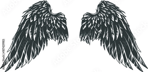 Obraz Hand drawn detailed wings.