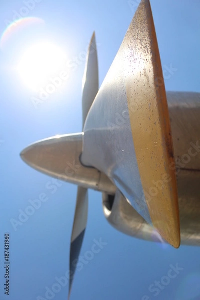 Obraz Aircraft - propeller