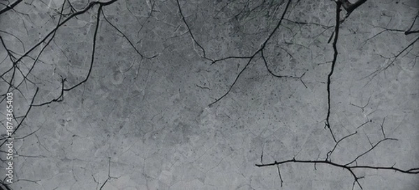 Obraz Cracked gray old abstract background