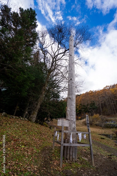 Obraz 諏訪大社　前宮一之御柱