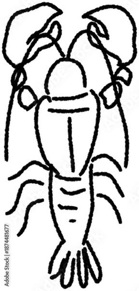 Obraz lobster outline drawing