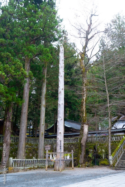 Fototapeta 諏訪大社　本宮一之御柱