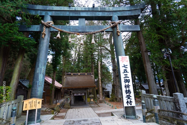 Obraz 諏訪大社　本宮　鳥居