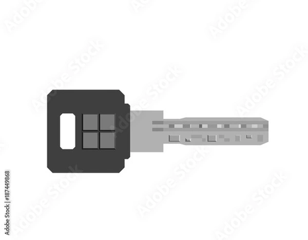 Obraz Key. Isolated on white background. Vector illustration. Flat style.