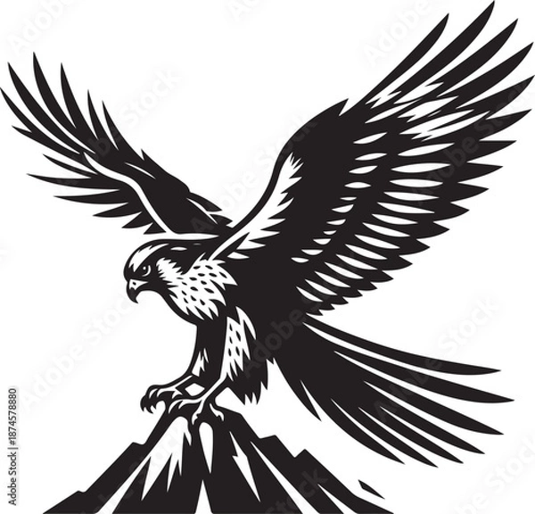 Obraz eagle with wings