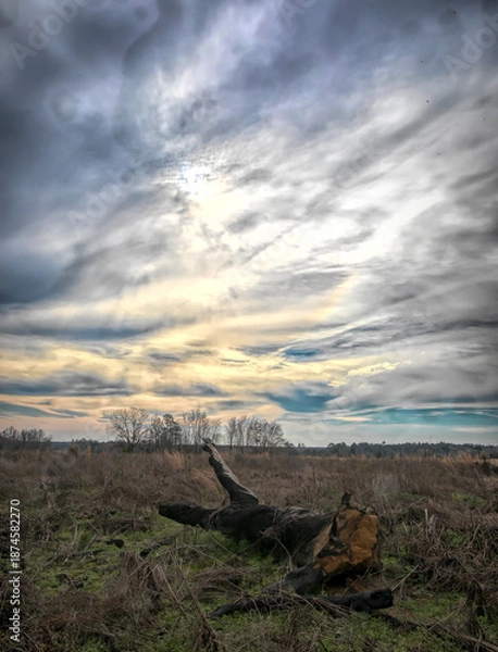 Obraz Landscape with beautiful sky