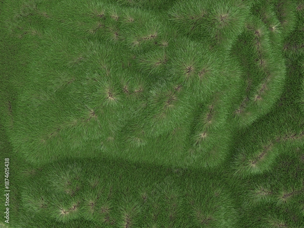 Fototapeta green grass texture