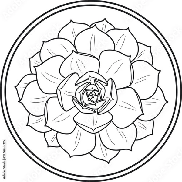 Obraz Succulent Flower Botanical Line Art Vector