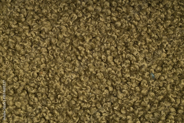 Fototapeta Green Curly Soft Wool Texture Background