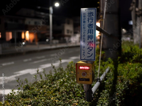 Obraz 信号機に取り付けられた歩行者用押しボタン
