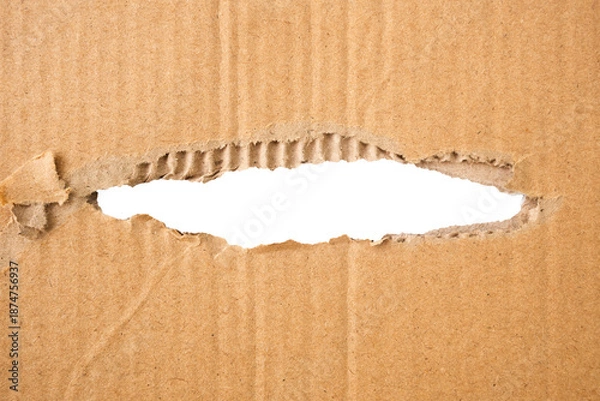 Obraz torn cardboard with transparent middle
