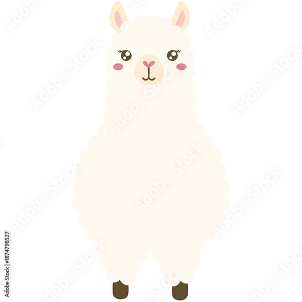 Obraz White alpaca 