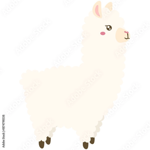 Obraz Cutie alpaca 