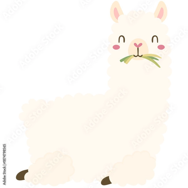 Obraz Alpaca with grass