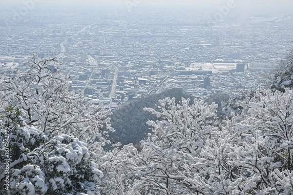 Obraz 岐阜城からの眺め・雪景色