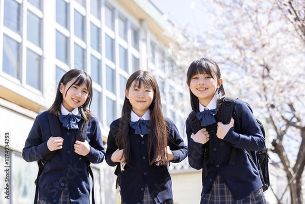 Obraz 春の校舎と笑顔の学生