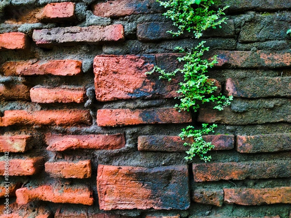 Obraz Old worn brick wall, perfect for abstract background