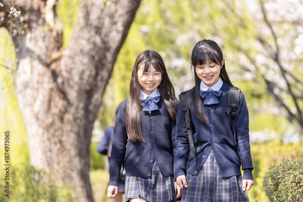 Obraz 並んで歩く学生