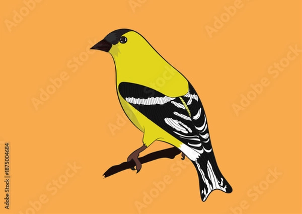 Obraz Goldfinch Vector Image 
