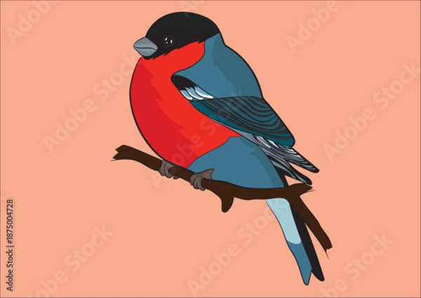 Obraz Bullfinch Bird Vector Image  
