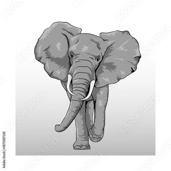 Obraz Elephant Vector Image  
