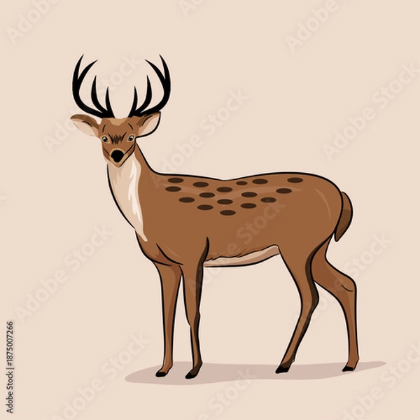 Obraz Triceratops Vector Image  
