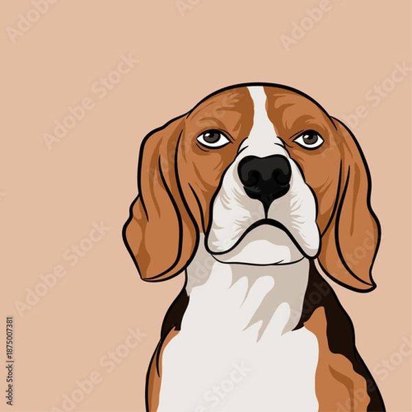 Obraz Beagle Puppy Illustration  
