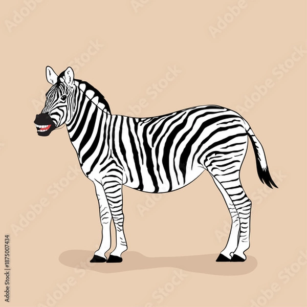 Obraz Zebra Vector Image  
