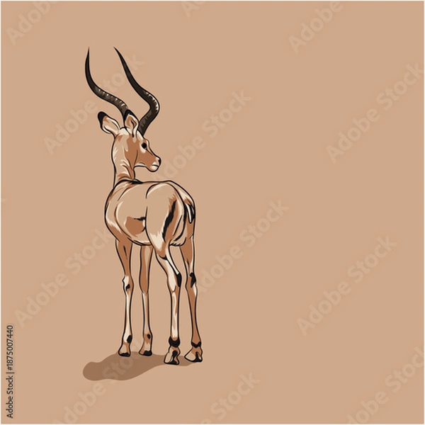 Obraz Deer Vector  Illustration  
