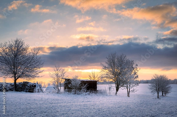Fototapeta Winterlandschaft - Feld - Abendrot 