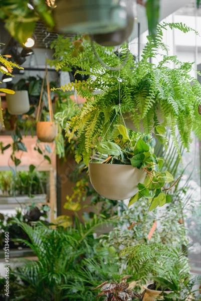 Obraz 多種多様な観葉植物に囲まれたショップの風景