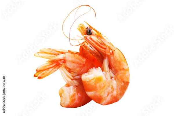 Obraz Fresh shrimp on white background isolated