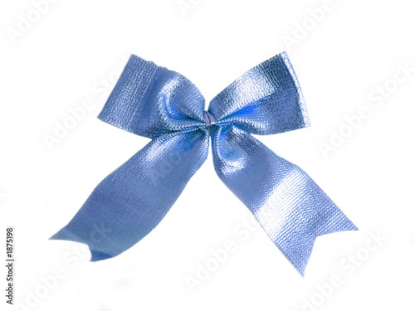 Obraz blue bow on a white background