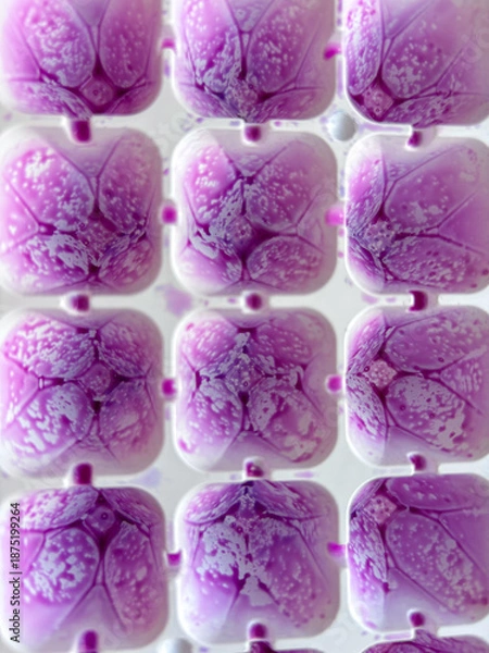 Obraz Purple ice cubes texture in honeycomb pattern tray