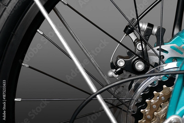 Obraz Bicycle chain tensioner.