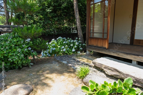 Obraz 紫陽花と日本家屋