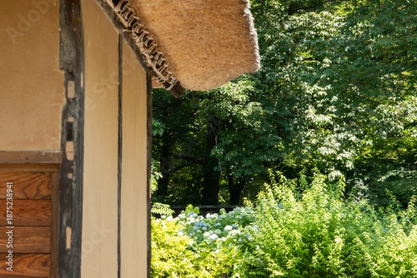 Obraz 紫陽花と日本家屋