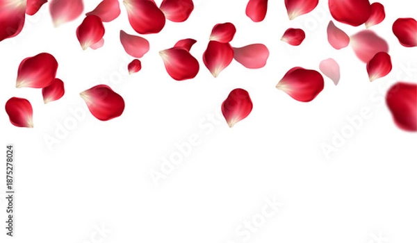 Fototapeta Falling Rose Petals Background