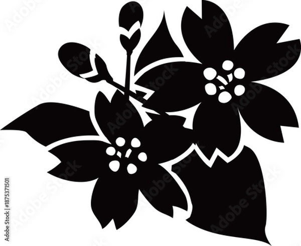 Obraz 桜の花と葉とつぼみのシルエット白黒ベクター イラスト