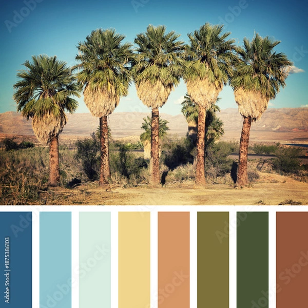 Obraz Palm trees retro palette