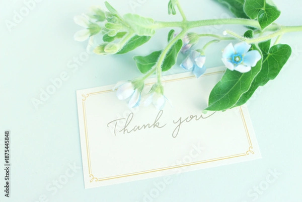 Obraz 青い花とサンキューカード